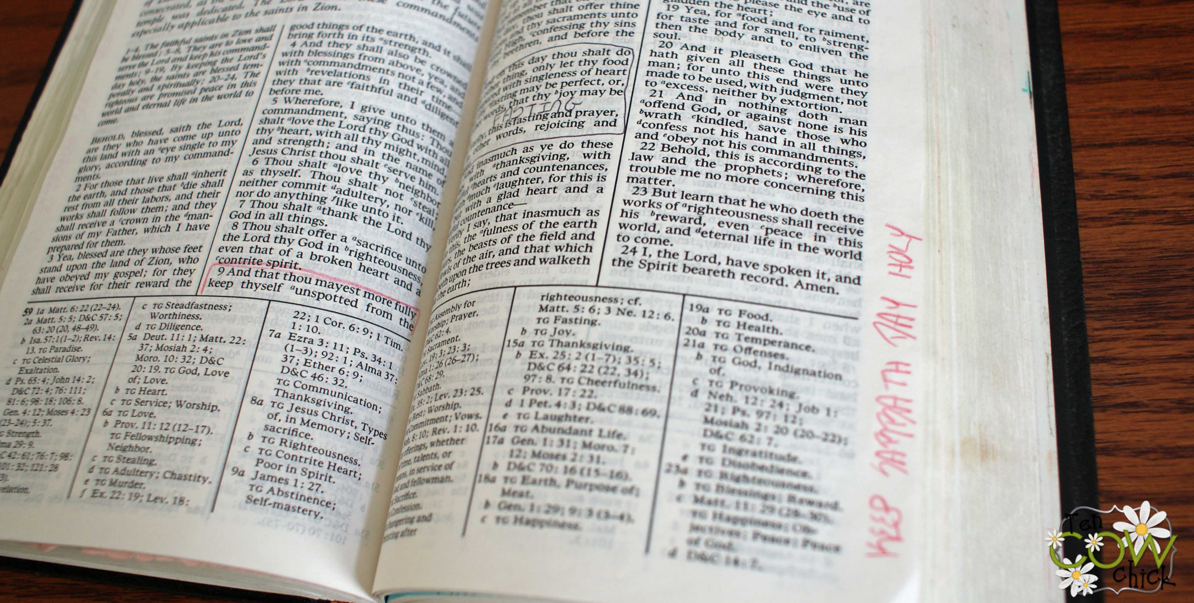 Children's Old Testament Scripture Stickers in LDS Scripture